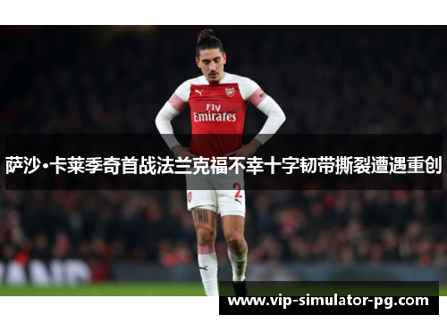 萨沙·卡莱季奇首战法兰克福不幸十字韧带撕裂遭遇重创 萨沙·卡莱季奇首战法兰克福不幸十字韧带撕裂遭遇重创