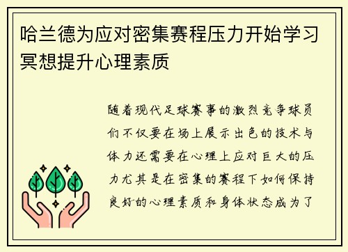 哈兰德为应对密集赛程压力开始学习冥想提升心理素质